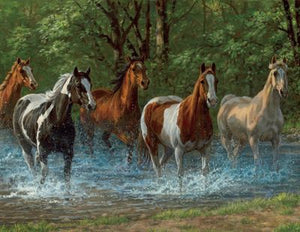 Summer Creek