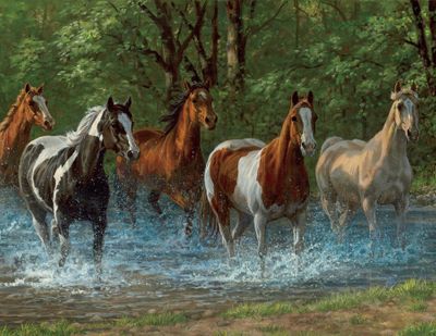 Summer Creek