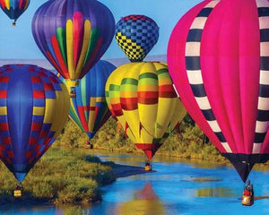 Take Flight Puzzle