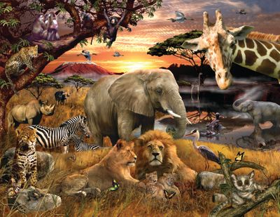 Wild Savanna